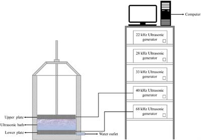 Ultrasonic washing as an abiotic elicitor to induce the accumulation of phenolics of fresh-cut red cabbages: Effects on storage quality and microbial safety